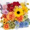 Rainbow Artificial Flowers Set – Peonies, Chrysanthemum, Daisy, Hydrangea, Sunflower, Violets, Dahlia, Daffodils, Epiphyllum, Orchid, Cherry Blossom, Camellia, Leyaron – Fake Flower Collection for Home & Event Decor